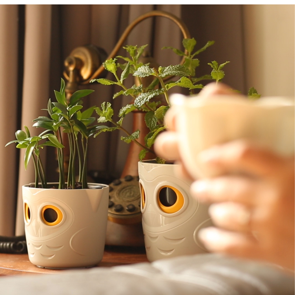 Großer und Kleiner Blumentopf nebeneinander auf Tisch