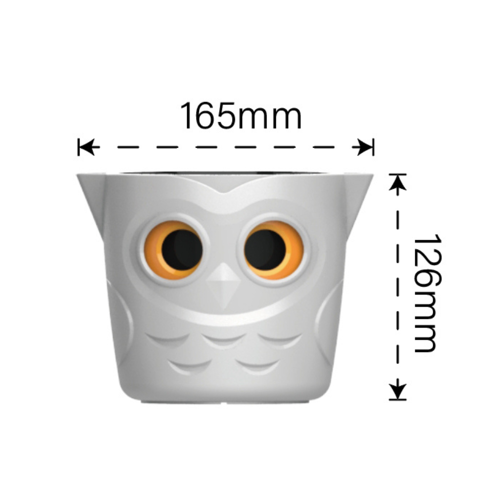 Größe des Blumentopfes