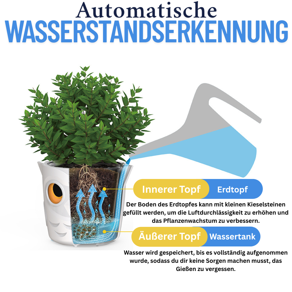 Beschreibung des Blumentopfes