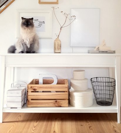 Infrarotheizung P-Serie – effiziente Strahlungswärme, modernes Design 130 Watt bis 1200 Watt, optional Smarte Steuerung