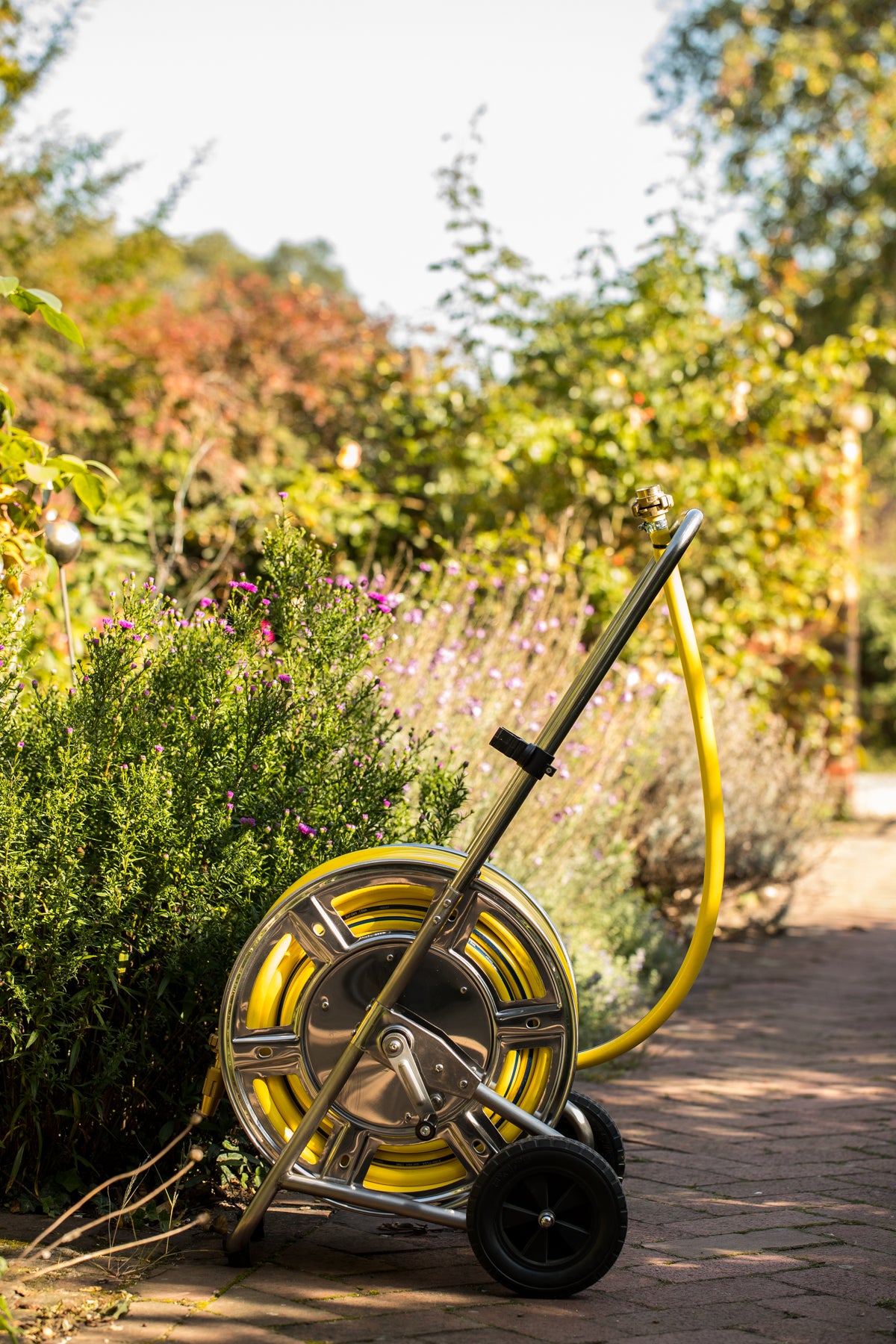 Aurexis24 Unsere Mission