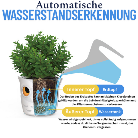 Beschreibung des Blumentopfes